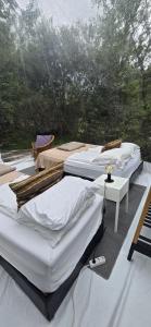 Eyja Mork - Aurora Borealis Igloo with Hot Tub, BBQ and shared kitchen