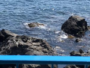 LaLuna Apartments - Sea Panorama - 20mins from CTA airport