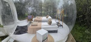 Eyja Mork - Aurora Borealis Igloo with Hot Tub, BBQ and shared kitchen