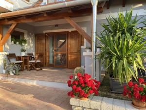 Sárkányhegyi Apartman