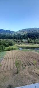 Rural Household Baltic