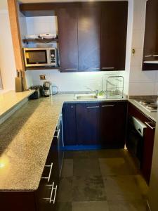 Amazing Ski in out-apartment 8 PAX, condominio CERRO PINTOR
