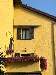 Lilli e il Vagabondo