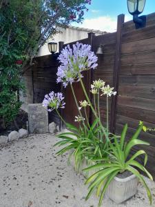 Appartements Le Mazet de Louise : photos des chambres
