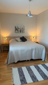 Apartment Pilvenveikko