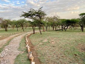 Authentic Mara Bush Home