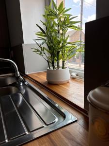 Fresh comfy space, feel at home.