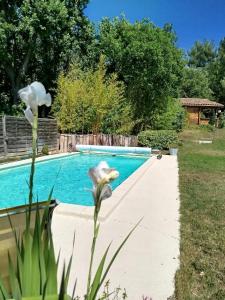 Appartements Chalet climatise avec kitchenette, acces piscine et spa, au sud d' Aix-en-Provence, for non smokers-non vapoteurs only : Studio Lit Queen-Size de Luxe 