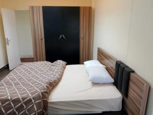 center of Cairo, Nile view, front of medical college