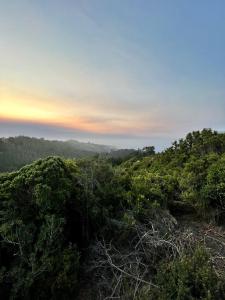 Casa Bosque Olas de Buchupureo