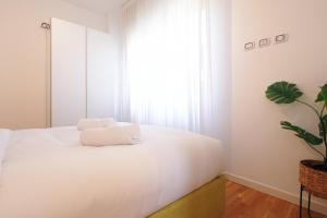 PrimoPiano - Albani B