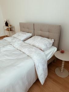 Apartament na Gnieźnieńskim Rynku
