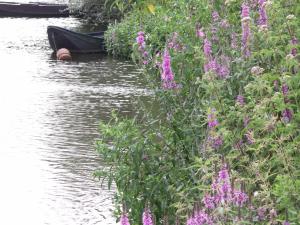 b&b Achter de Sterren
