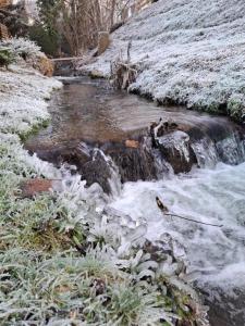 Apartamenty Kudowski Potok - Ubytování bez kategorie ve městě Lázně Chudoba