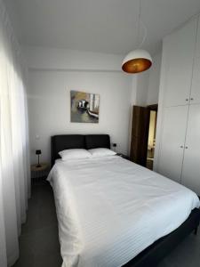 Emilys one bedroom flat