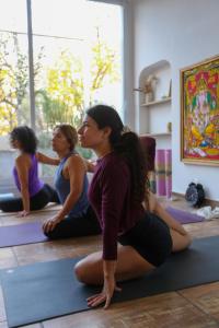 Casa Caravan - Plant Based Concept House