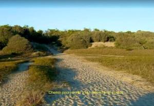 Maisons de vacances Tortuga : photos des chambres