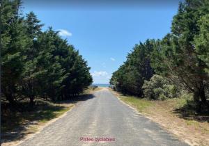 Maisons de vacances Tortuga : photos des chambres