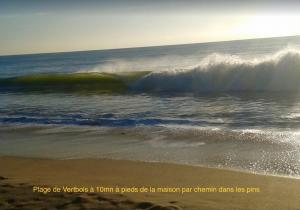 Maisons de vacances Tortuga : photos des chambres