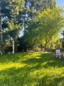 Appartements Les grands sapins : Appartement 1 Chambre