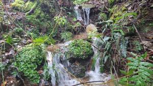 La Casa de la Abejita