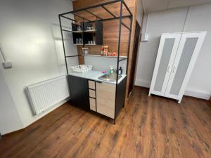 Apartmans Turgenevova - Ostravska with FREE parking