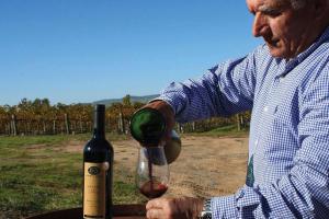 Villa Scalzi - 4-Bed Getaway with Free Wine