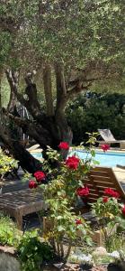 Villa ALETTI MJ piscine privée Porto Vecchio