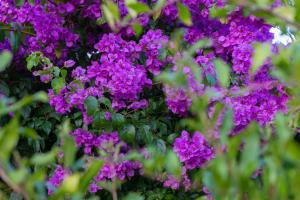 Trogir apartment disability-friendly with free parking