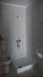 Studio in the Sun individual