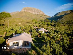 Wagyu Mountain Lodge - Unrated properties in Paarl