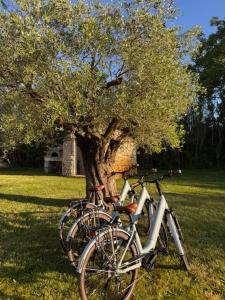 Villas Coeur des Hommes : photos des chambres