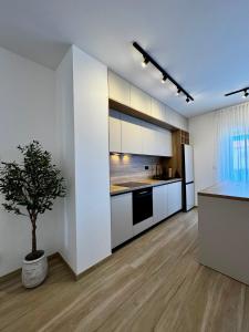 Apartment Navis Povljana