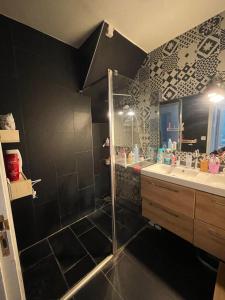Villas Villa 5 chambres with 500m Jardin-Sauna-Billard : photos des chambres