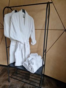 Dôme géodésique exceptionnel en pleine nature