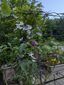 Domaine du KleinHammer