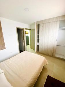 Santa Isabel Centro 302