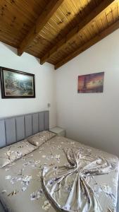Nelis Apartments