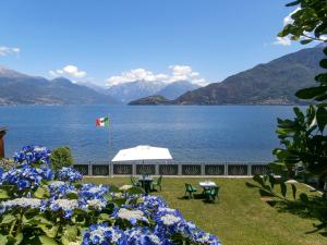 Nido alla Riva Cigno