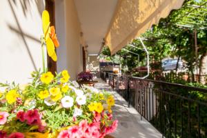 Tasoula Studios & Apartments Lefkada Greece