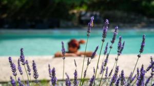 Villages vacances La cabane - Nature et Spa : photos des chambres