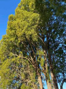 Cabaña Encanto del humedal Aituy