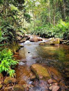 Chalé Hortelã - Cachoeira São Bernardo