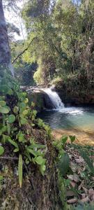 Chalé Hortelã - Cachoeira São Bernardo