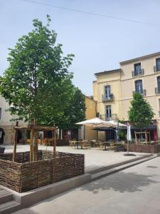 Appartements L-escale doree au centre de Lunel : Appartement 1 Chambre