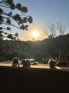 Loft in the Woods in São Roque!