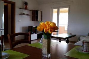 Apartments with parking space Sveti Filip i Jakov, Biograd - 24707