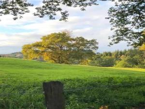 Maisons de vacances Peaceful Cottage in Brittany : photos des chambres