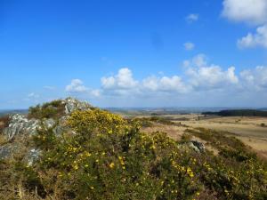 Maisons de vacances Peaceful Cottage in Brittany : photos des chambres