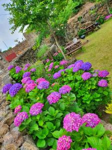 Jeju Happiness Pension